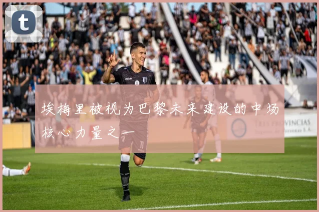 埃梅里被视为巴黎未来建设的中场核心力量之一
